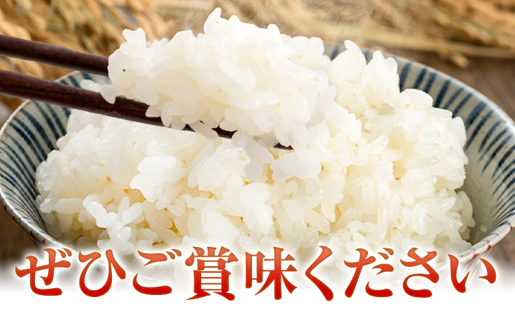 縺イ繧峨°繧乗ク豬∫アウ 5kgテ1陲 逕溽肇迚ゥ逶エ螢イ謇縺イ繧峨°繧丞ア 縺顔アウ 逋ス邀ウ 鮖ソ蜈仙ウカ逵 鮖ソ蜈仙ウカ逵檎肇 縺輔▽縺セ逕コ 邊セ邀ウ 縺斐ッ繧