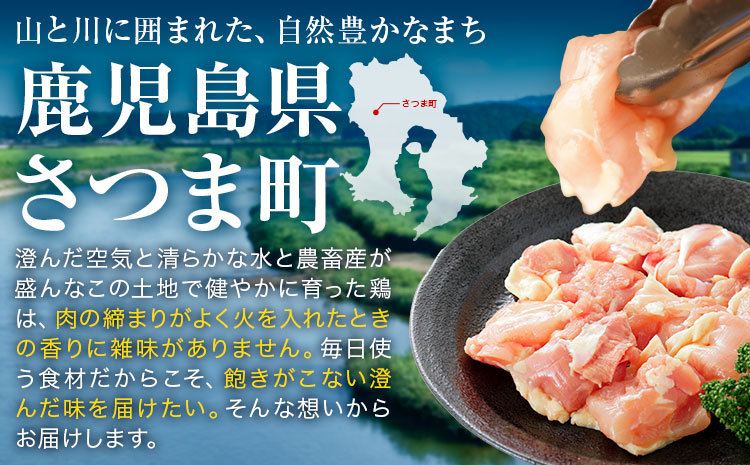 鹿児島県産 鶏肉 むね肉 もも肉 セット 各種 250g × 2パック 計1kg 《7-14日以内に出荷予定(土日祝除く)》鹿児島県 さつま町 鶏 鳥 むね もも 肉