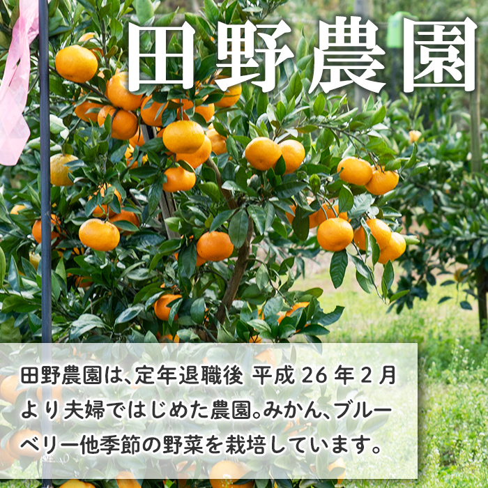 s669 âªæ¯ææ°ééå®â«ãã«ãŒããªãŒãœãŒã¹(èš4æ¬ã»1æ¬180g) 鹿å
å³¶ åœç£ ä¹å·ç£ ãã«ãŒã èª¿å³æ ãã«ãŒããœãŒã¹ ãžã£ã ãã«ãŒããªãŒ èªå®¶æ œå¹ ãç°é蟲åã