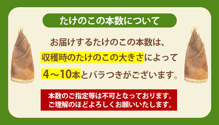 s089 《先行予約受付中！2025年3月下旬より順次発送予定》鹿児島県産たけのこ(4kg・約4〜10本) 産地直送 筍 タケノコ 国産 煮物 炊き込みご飯【弐番屋】