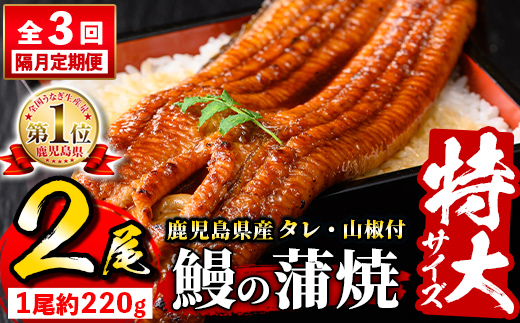 s732 【隔月・定期便3回】＼特大サイズ／ 鹿児島県産 鰻蒲焼真空セット！(計約1.32kg・約220g×2尾×3回) タレ・山椒付！ 鹿児島 九州産 国産 うなぎ ウナギ 鰻 土用の丑の日 蒲焼き うな重 ひつまぶし 定期便 隔月 1ヶ月おきに 冷凍 【薩摩川内鰻】