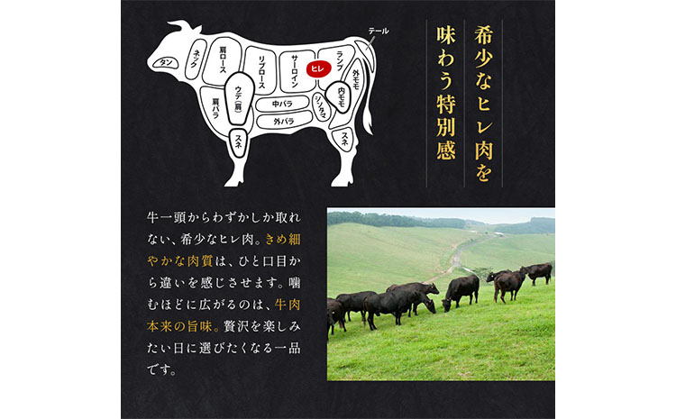 閧 迚幄i 鮖ソ蜈仙ウカ逵檎肇 鮟呈ッ帛柱迚 繝偵Ξ繧ケ繝繝シ繧ュ 2遞ョ逶帙j 繧ケ繝繝シ繧ュ 繧オ繧、繧ウ繝ュ 660g 縲90譌・莉・蜀縺ォ蜃コ闕キ莠亥ョ(蝨滓律逾晞勁縺)縲 譬ェ蠑丈シ夂、セ繧ォ繝溘メ繧ッ 鮖ソ蜈仙ウカ逵 縺輔▽縺セ逕コ