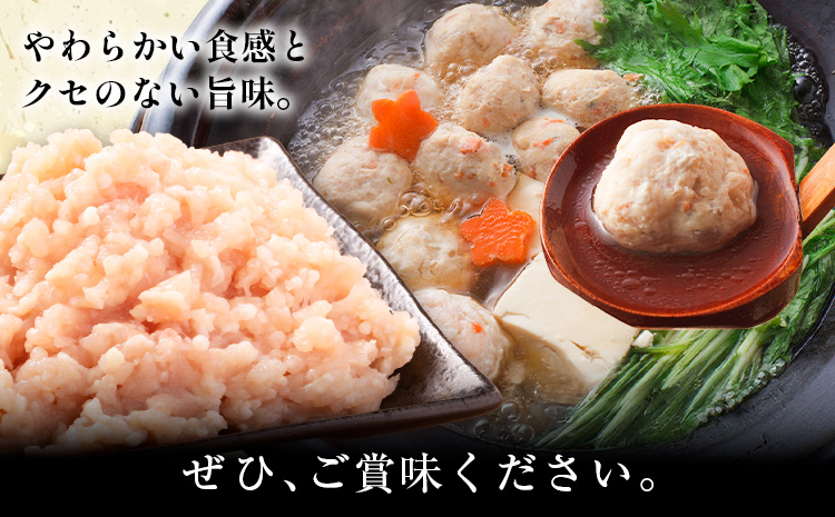 鹿児島県産 若どりミンチ 2kg 500g×4パック 株式会社 寺師《60日以内に出荷予定(土日祝除く)》鹿児島県 さつま町 鶏肉 鶏ミンチ とり肉 トリ肉