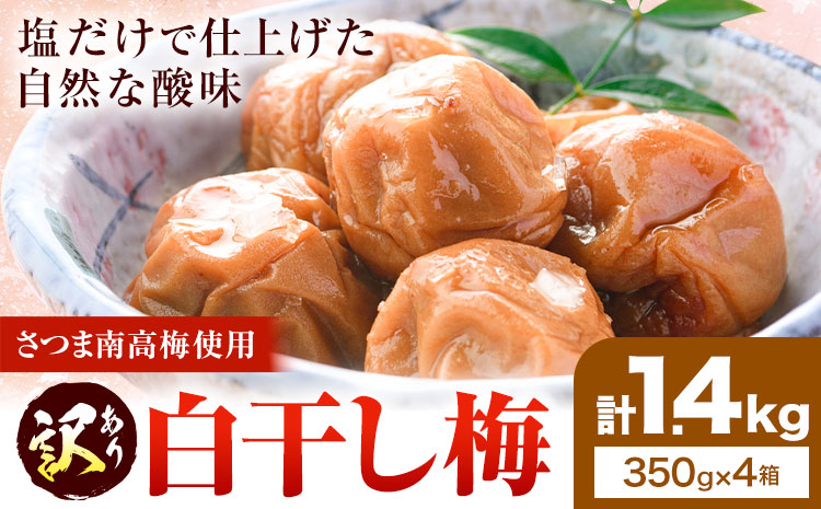 訳あり 梅干し 白干し梅 うめぼし 計1.4kg (350g×4箱) 農事組合法人 梅香丘《30日以内に出荷予定(土日祝除く)》鹿児島県 さつま町 送料無料 梅 うめ ウメボシ ご飯 ご飯のお供 お取り寄せ