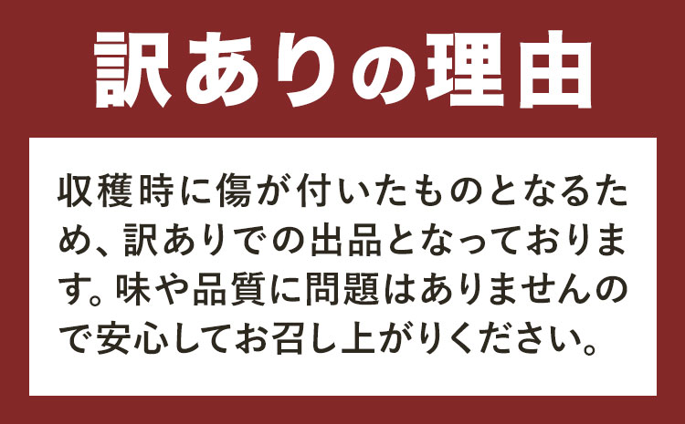 訳あり たけのこ 水煮 小分け 詰め合わせ 九州産 計約5.25kg 3ヶ月定期便（毎月） 北薩農産加工場《お申し込みの翌月から出荷》鹿児島県 さつま町 送料無料 惣菜 タケノコ 筍 竹の子 パック 水煮 お取り寄せグルメ