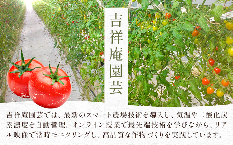 【ふるさと納税】トマト 華こまち フルーツトマト 200g×4パック 吉祥庵園芸《11月上旬-6月上旬頃出荷》鹿児島県 さつま町 野菜 トマト お取り寄せ