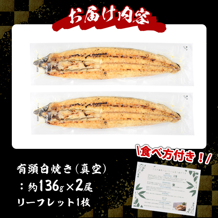 s445 《毎月数量限定》鹿児島県産 有頭白焼き2尾セット！(計約272g・約136g×2尾) 鹿児島 国産 九州産 鰻 うなぎ【薩摩川内鰻】