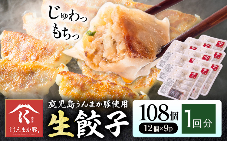 鹿児島 うんまか豚 生餃子 108個 株式会社 寺師《60日以内に出荷予定(土日祝除く)》鹿児島県 さつま町 餃子 ギョウザ 焼き餃子 水餃子