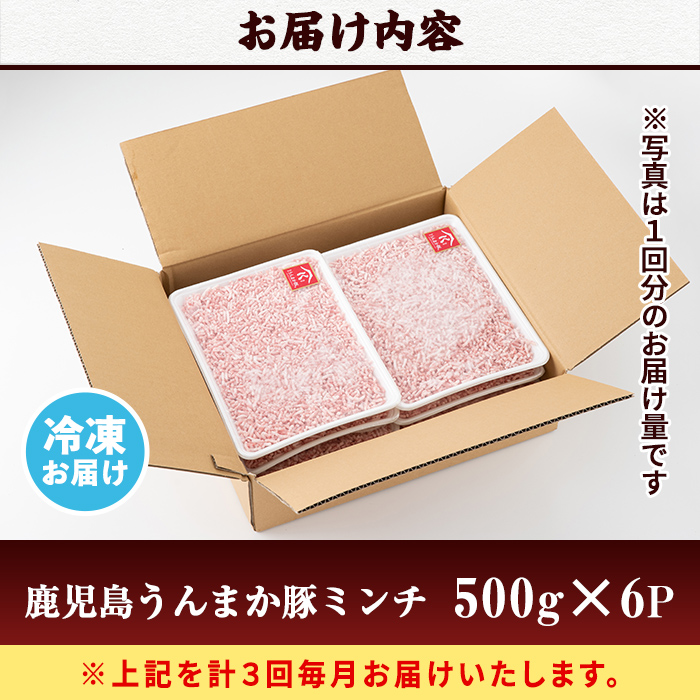 s582-A 【毎月・定期便3回】鹿児島うんまか豚ミンチ(計9kg・500g×6P×3回)【肉の寺師】