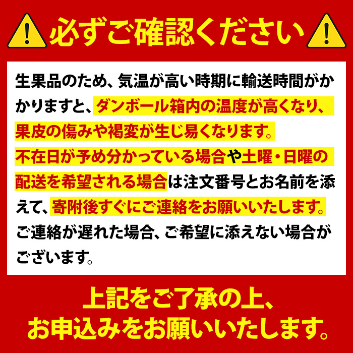s570 《期間・数量限定》ご家庭用サワーポメロ(約10kg) 鹿児島 国産 九州産 果物 柑橘 フルーツ みかん 文旦 ボンタン ご家庭用 訳あり 【よしたか農園】