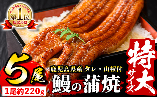 s731 ＼特大サイズ／ 鹿児島県産 鰻蒲焼真空セット！(計約1.1kg・約220g×5尾) タレ・山椒付！ 鹿児島 九州産 国産 うなぎ ウナギ 鰻 土用の丑の日 蒲焼き うな重 ひつまぶし 冷凍 【薩摩川内鰻】