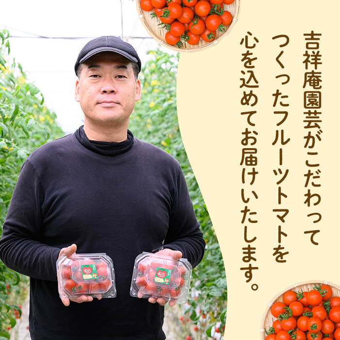 s613 《期間・数量限定》＜訳あり＞大玉トマト(約2kg) 鹿児島 国産 九州産 野菜 やさい 新鮮 とまと トマト 訳あり 規格外 ご家庭用 産地直送 サラダ 【吉祥庵園芸】