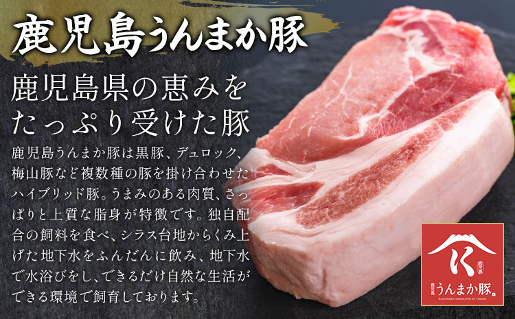 鹿児島 うんまか 豚ミンチ 計3kg 500g×6P 株式会社寺師《90日以内に出荷予定(土日祝除く) 》鹿児島県 さつま町 豚肉 ミンチ 肉