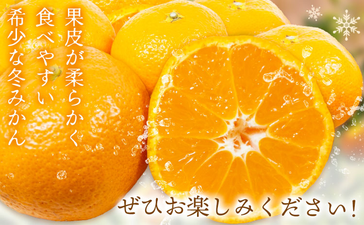 蜊∽ク貂ゥ蟾槭∩縺九s 5kg 蛹励&縺、縺セ霎イ蜊斐1譛井ク頑流-1譛域忰鬆蜃コ闕キ縲 鮖ソ蜈仙ウカ逵 縺輔▽縺セ逕コ 騾∵侭辟。譁 譟第ゥ 縺ソ縺九s 貂ゥ蟾槭∩縺九s 蜊∽ク縺ソ縺九s
