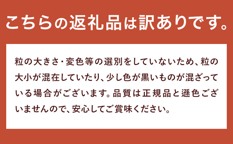 訳あり しそ漬け梅干し 350g×4箱 定期便 4回  農事組合法人 梅香丘《お申込み翌月から出荷》鹿児島県 さつま町 うめぼし 紫蘇 お取り寄せ プレゼント