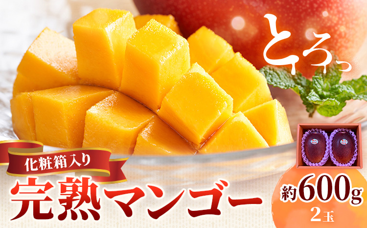 鹿児島県産 完熟マンゴー 化粧箱入り 約600g 祝迫果樹園《6月中旬-7月中旬頃出荷》鹿児島県 さつま町 マンゴー 果実 果物 くだもの フルーツ 果肉 果汁 高級 ご褒美 贅沢 グルメ
