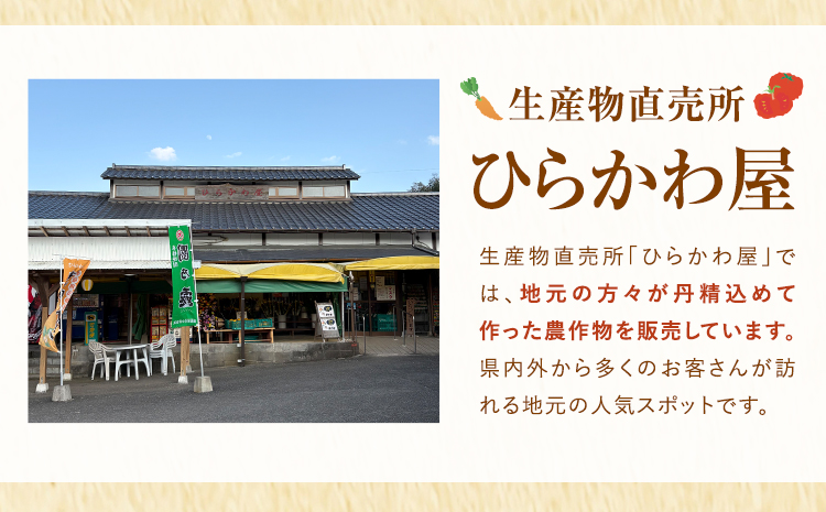 縺イ繧峨°繧乗ク豬∫アウ 5kgテ1陲 逕溽肇迚ゥ逶エ螢イ謇縺イ繧峨°繧丞ア 縺顔アウ 逋ス邀ウ 鮖ソ蜈仙ウカ逵 鮖ソ蜈仙ウカ逵檎肇 縺輔▽縺セ逕コ 邊セ邀ウ 縺斐ッ繧