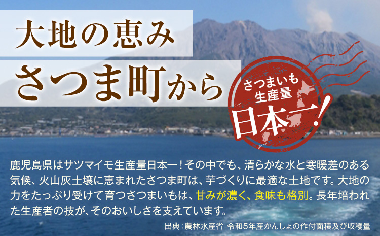 紅はるか サツマイモ 芋 5kg サイズ混合 2L-2S 弐番屋《11月上旬-2月中旬頃出荷》鹿児島県 さつま町 送料無料 さつまいも イモ 野菜 スイーツ お取り寄せグルメ