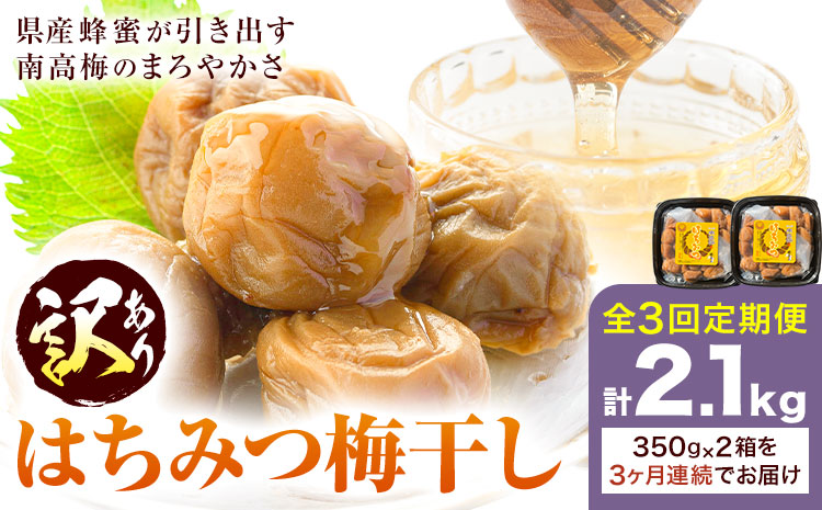 訳あり はちみつ漬け梅干し 350g×2 定期便 連続 3回 農事組合法人 梅香丘《お申込み翌月から出荷》鹿児島県 さつま町 うめぼし 蜂蜜 お取り寄せ プレゼント