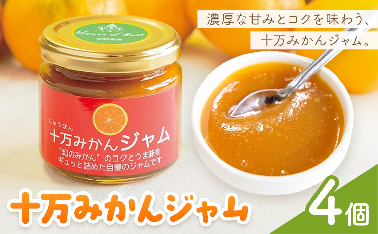 十万みかん ジャム 150g 4個 田野農園《30日以内に出荷予定(土日祝除く)》鹿児島県 さつま町 みかん 蜜柑 柑橘 果物 くだもの フルーツ ジューシー 送料無料