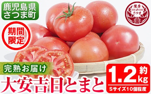 s199 さつま町産の大安吉日とまと(約1.2kg) 鹿児島 国産 九州産 トマト 野菜【市囿庄一】