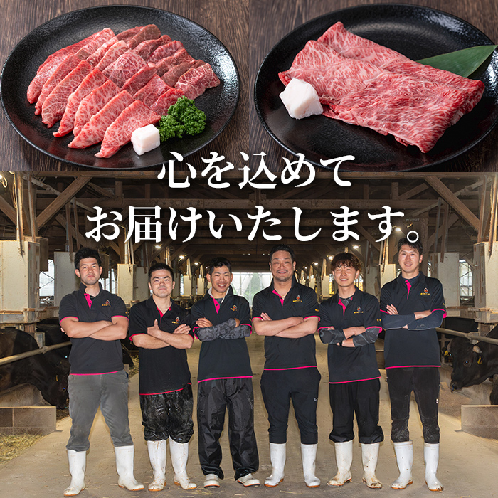 s702  ＜定期便・全3回＞鹿児島県産 北さつま高崎牛 プレミアムセット (合計約1.1kg)  黒毛和牛 牛肉 A5ランク A5等級 ステーキ サーロイン 霜降り サシ 赤身 すきやき すき焼き しゃぶしゃぶ 焼肉 セット 真空パック 冷凍 【太田家】
