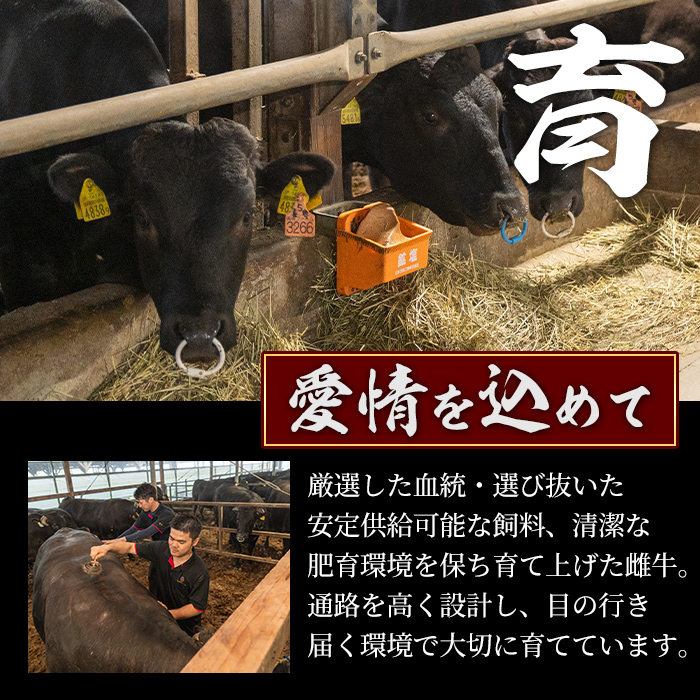 s701 ïŒå®æäŸ¿ã»å
š3åïŒé¹¿å
å³¶çç£ åãã€ãŸé«åŽç åãèœãšãè(èš4.5kg(çŽ500gÃ3PÃ3å) åœç£ ä¹å·ç£ 黿¯åç A5ã©ã³ã¯ A5ççŽ èµ€èº« éç åèœã åãèœã åèœãšã çè å°åã ãè ç空ãã㯠å·å ã倪ç°å®¶ã