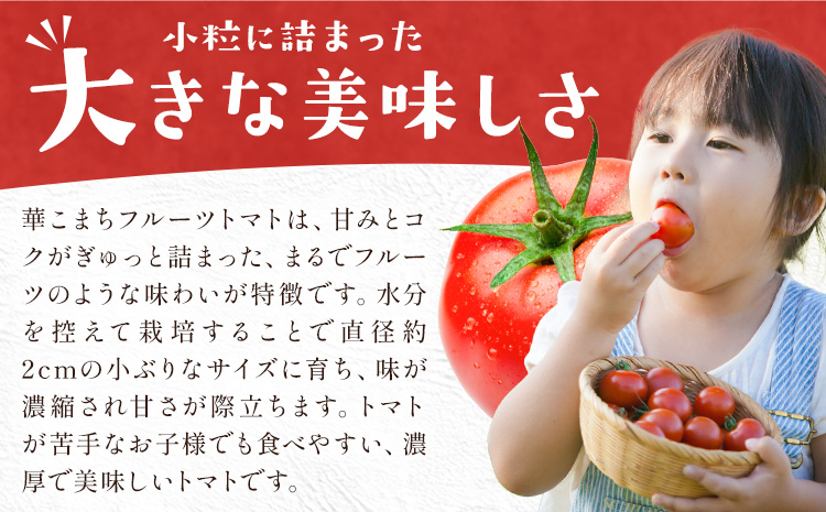 【ふるさと納税】トマト 華こまち フルーツトマト 200g×4パック 吉祥庵園芸《11月上旬-6月上旬頃出荷》鹿児島県 さつま町 野菜 トマト お取り寄せ