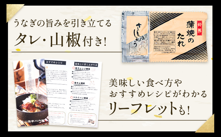 鰻 うなぎ 蒲焼き 2尾 (1尾約140g) タレ 山椒 付き 株式会社薩摩川内鰻《30日以内に出荷予定(土日祝除く)》鹿児島県 さつま町 送料無料 ウナギ 蒲焼 かば焼き 丑の日 うなぎ お取り寄せ グルメ