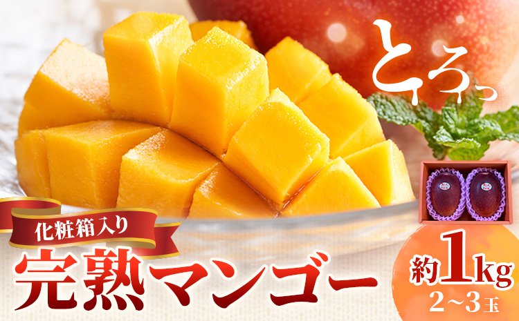 鹿児島県産 完熟マンゴー 化粧箱入り 約1kg 祝迫果樹園《6月中旬-7月中旬頃出荷》鹿児島県 さつま町 マンゴー 果実 果物 くだもの フルーツ 果肉 果汁 高級 ご褒美 贅沢 グルメ