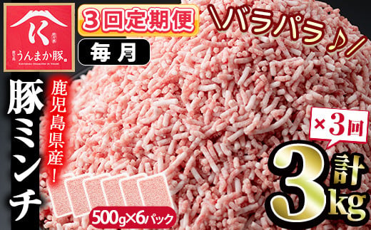 s582-A 【毎月・定期便3回】鹿児島うんまか豚ミンチ(計9kg・500g×6P×3回)【肉の寺師】