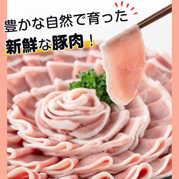 s512 ＜訳あり＞鹿児島県産豚ローススライス(計1.5kg・500g×3P) 豚肉 ロース スライス 小分け 国産 しゃぶしゃぶ 生姜焼き 鹿児島 お肉 ポーク 真空包装 真空パック【コワダヤ】