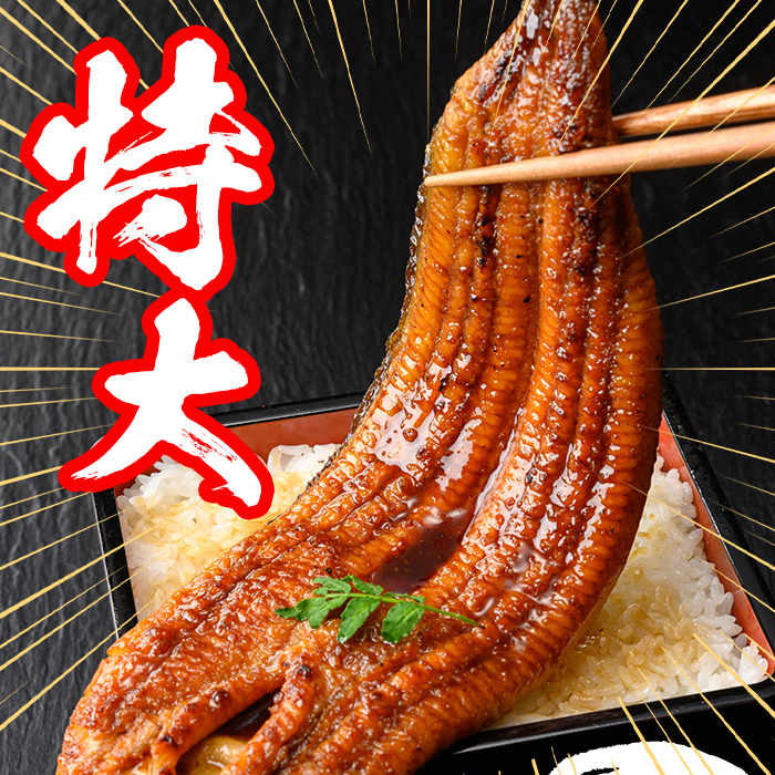 s732 【隔月・定期便3回】＼特大サイズ／ 鹿児島県産 鰻蒲焼真空セット！(計約1.32kg・約220g×2尾×3回) タレ・山椒付！ 鹿児島 九州産 国産 うなぎ ウナギ 鰻 土用の丑の日 蒲焼き うな重 ひつまぶし 定期便 隔月 1ヶ月おきに 冷凍 【薩摩川内鰻】