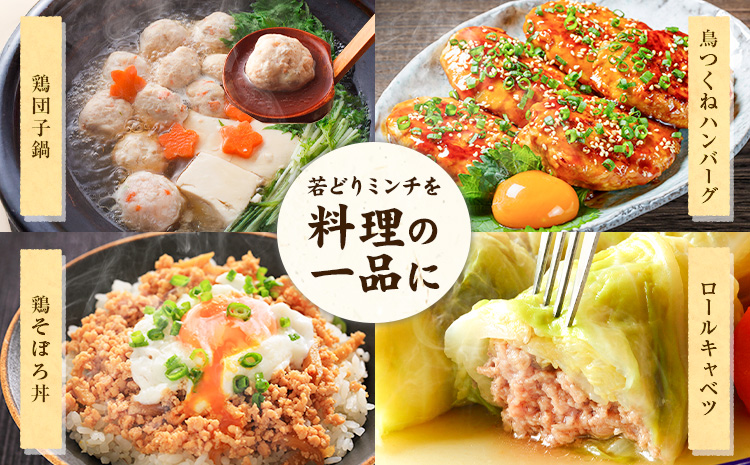 鹿児島県産 若どりミンチ 2kg 500g×4パック 株式会社 寺師《60日以内に出荷予定(土日祝除く)》鹿児島県 さつま町 鶏肉 鶏ミンチ とり肉 トリ肉