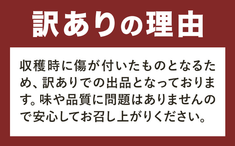 【3ヶ月定期便(隔月)】訳あり たけのこ水煮 切り落としタイプ 計約4.8kg(約200g×8袋×3回) 北薩農産加工場《お申込み翌月から出荷》鹿児島県 たけのこ 筍 水煮 使いやすい 定期便 春 旬 料理 調理
