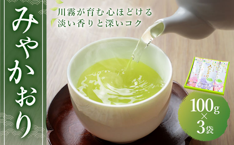お茶 緑茶 みやかおり 100g×3袋 北さつま農協《30日以内に出荷予定(土日祝除く)》鹿児島県 さつま町 送料無料 お茶 緑茶 茶葉 日本茶 煎茶 セット ギフト お土産