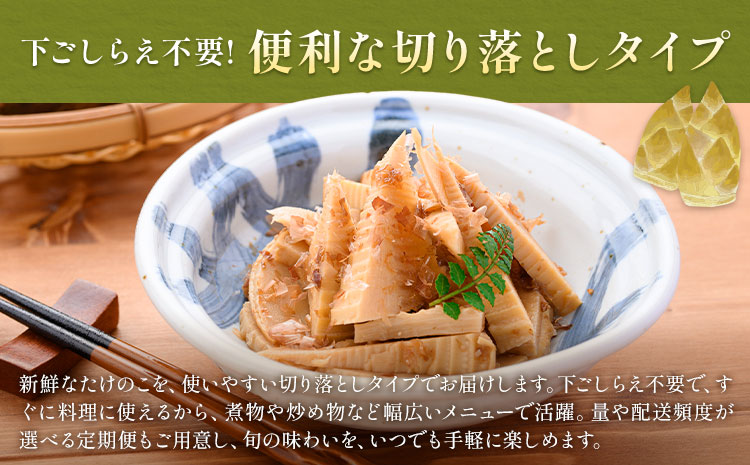 訳あり たけのこ水煮 切り落としタイプ 計約1.6kg(約200g×8袋) 北薩農産加工場《30日以内に出荷予定(土日祝除く)》鹿児島県 たけのこ 筍 水煮 使いやすい 定期便 春 旬 料理 調理