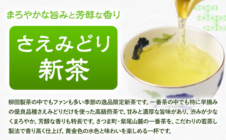 若蒸煎茶 さえみどり 新茶 80g×3袋 柳田製茶《5月上旬より順次出荷予定(土日祝除く)》鹿児島県 さつま町 送料無料 おうち時間 ティータイム 水出し セット 煎茶 緑茶 日本茶 ギフト 贈答 誕生日 プレゼント