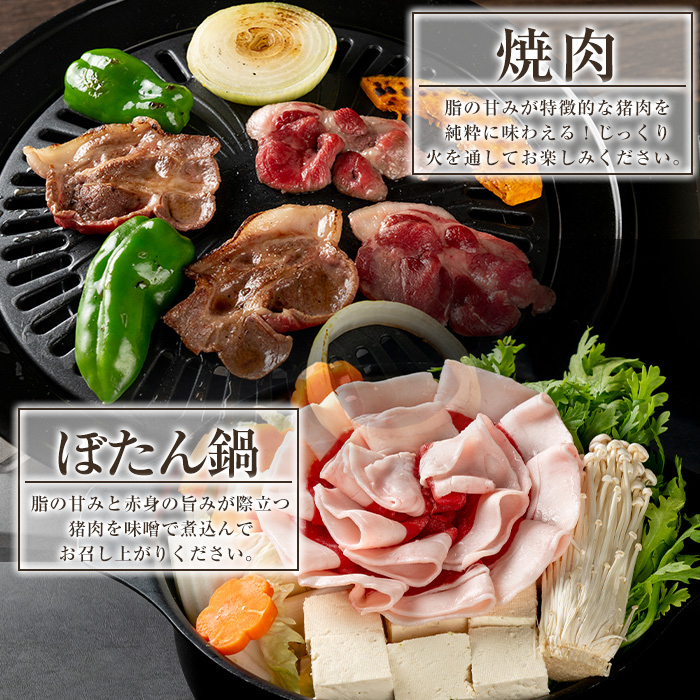 s759 ã鹿å
å³¶çãã€ãŸçºç£ãžããšäœ¿çšãçªèã¹ã©ã€ã¹3çš®ã»ãããããŒã¹/ãã©/ã¢ã¢ã(åèšçŽ600gã»çŽ200gÃå1P) åœç£ 鹿å
å³¶ç çªè ã€ãã·ã· ãžããš è ã¹ã©ã€ã¹è ããŒã¹ ãã© ã¢ã¢ çŒè ãŒããé é£ã¹æ¯ã¹ è©°åã å·å ããã€ãŸã®ãžããšãã¡ã¯ããªãŒã