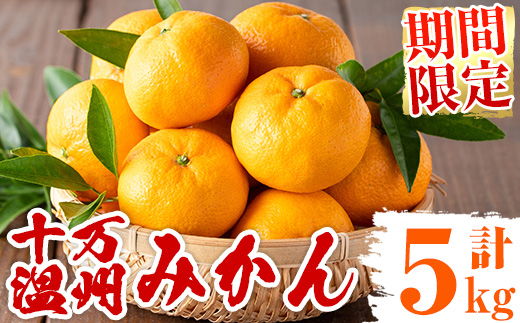 s765 ≪先行予約受付中！2025年12月中旬より順次発送≫十万温州みかん(計約5kg・M～Lサイズ) 鹿児島 国産 九州産 フルーツ 柑橘 みかん 蜜柑 【田野農園】