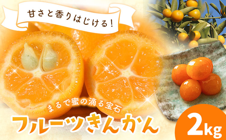 フルーツきんかん 2kg 北さつま農協《1月上旬-2月中旬頃出荷》 鹿児島県 さつま町 送料無料 金柑 きんかん 柑橘 フルーツ 果物