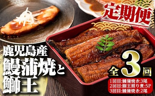 鰻蒲焼と鰤王照り煮の定期便_satsuma-910