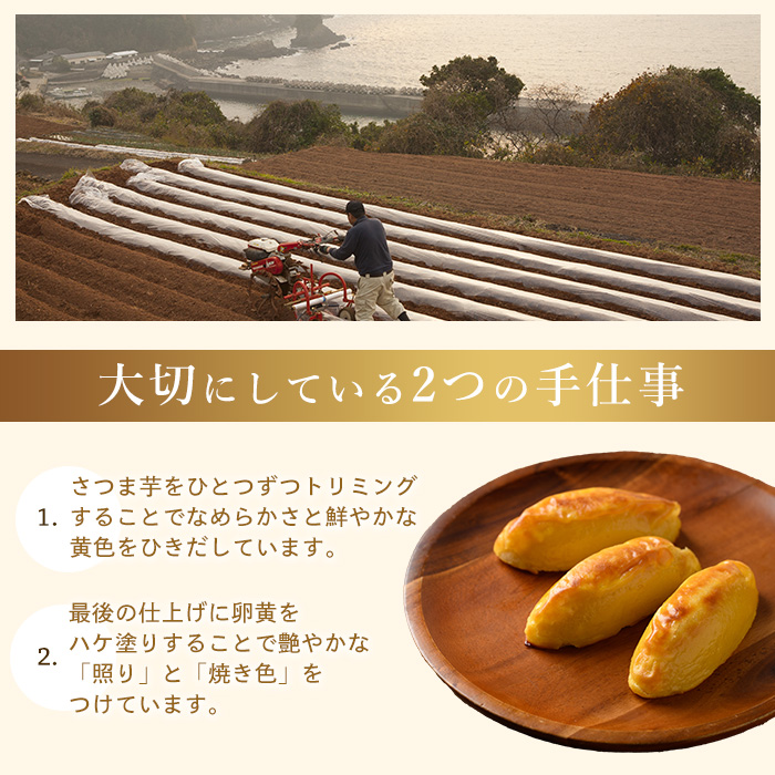 ＜定期便・2ヶ月毎発送全3回＞鹿児島県産さつまいも使用 ロイヤルのスイートポテト(12個) スイートポテト 鹿児島 さつまいも菓子 スイーツ お菓子 おやつ 【ロイヤル】royal-1518