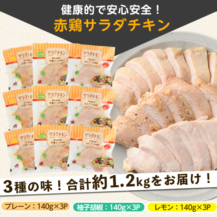 訳あり 赤鶏さつま むね肉3kg （1枚真空×13枚前後） 国産 鹿児島県産 長島町 鶏肉 鳥肉 小分け 個包装【鹿児島サンフーズ株式会社】sfoods-1439