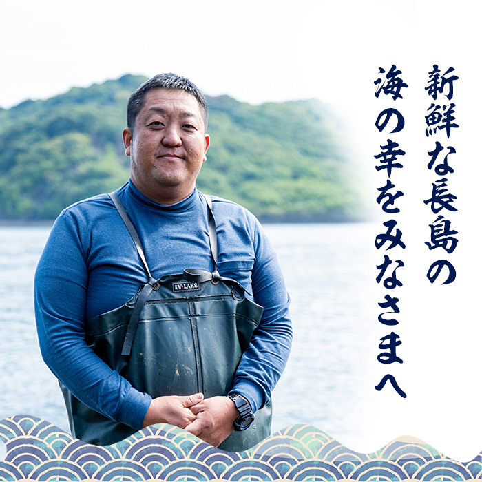 【先行予約】鹿児島県長島町産 礒永水産の乾燥あおさ100g 新物 国産 九州産 長島町 アオサ あおさ海苔 のり 海産物 養殖 魚介類 水揚げ セット 味噌汁の具 みそ汁【礒永水産】iso-1403