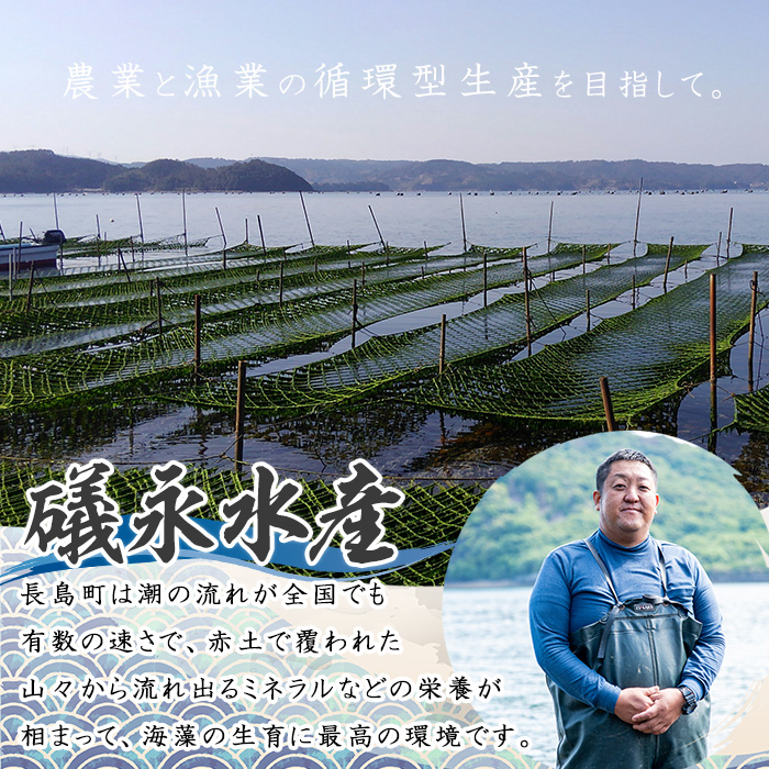 【先行予約】鹿児島県長島町産 礒永水産の乾燥あおさ100g 新物 国産 九州産 長島町 アオサ あおさ海苔 のり 海産物 養殖 魚介類 水揚げ セット 味噌汁の具 みそ汁【礒永水産】iso-1403