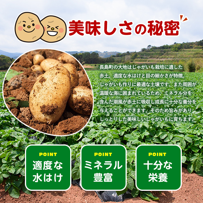 《早春:2月中旬より発送》いから島産赤土じゃがいも10kg 【高橋農園】takahashi-7310