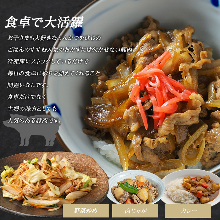 ＜訳あり＞ 鹿児島県産 豚小間切れ 2kg（200ｇ×10P） 豚肉 小分け 真空 冷凍 真空パック 国産 豚こま 豚コマ【まつぼっくり】matu-7228