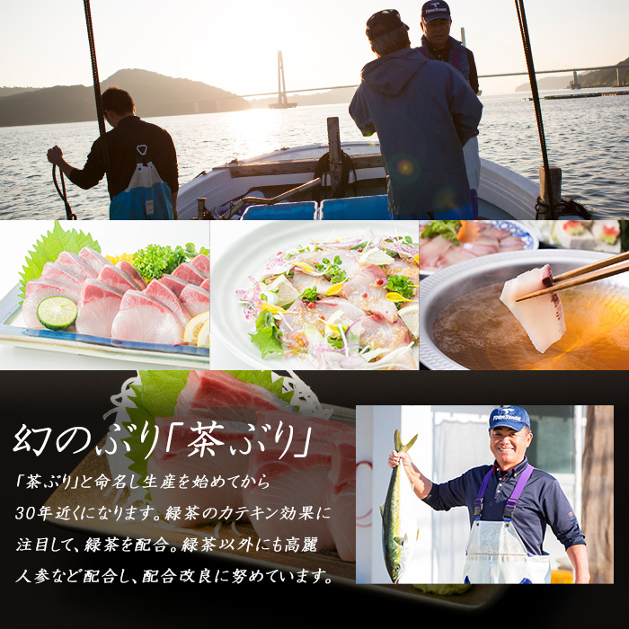 《鹿児島県長島町産》どん薩摩の茶ぶり丼回数券（９回分）茶ぶり 茶鰤 鰤 丼物 海鮮【株式会社 Never Land】never-1549