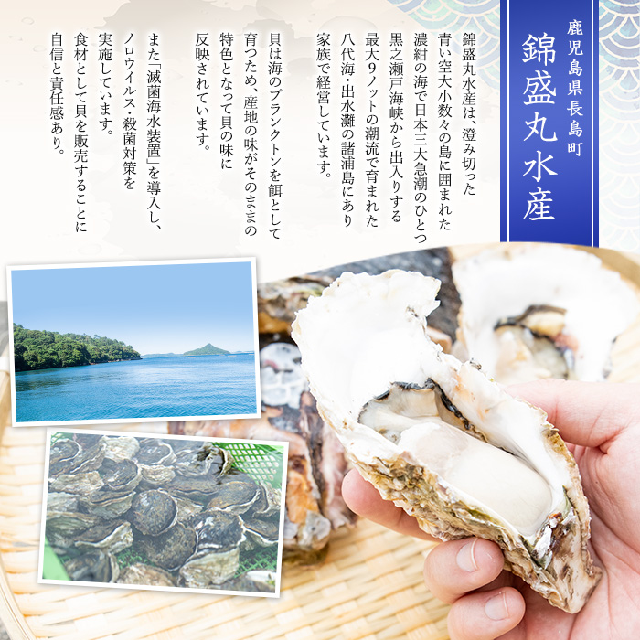 å€ã«çŸå³ã岩ãã çŽ3.0kg ïŒæ®»ã®ééå«ãïŒãéŠçäžžæ°Žç£ãkinsei-7169